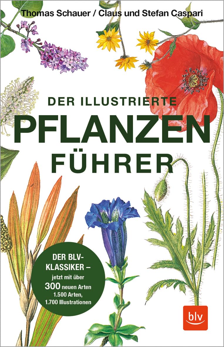 Der illustrierte Pflanzenführer: Der BLV-Klassiker - jetzt mit über 300 neuen Arten