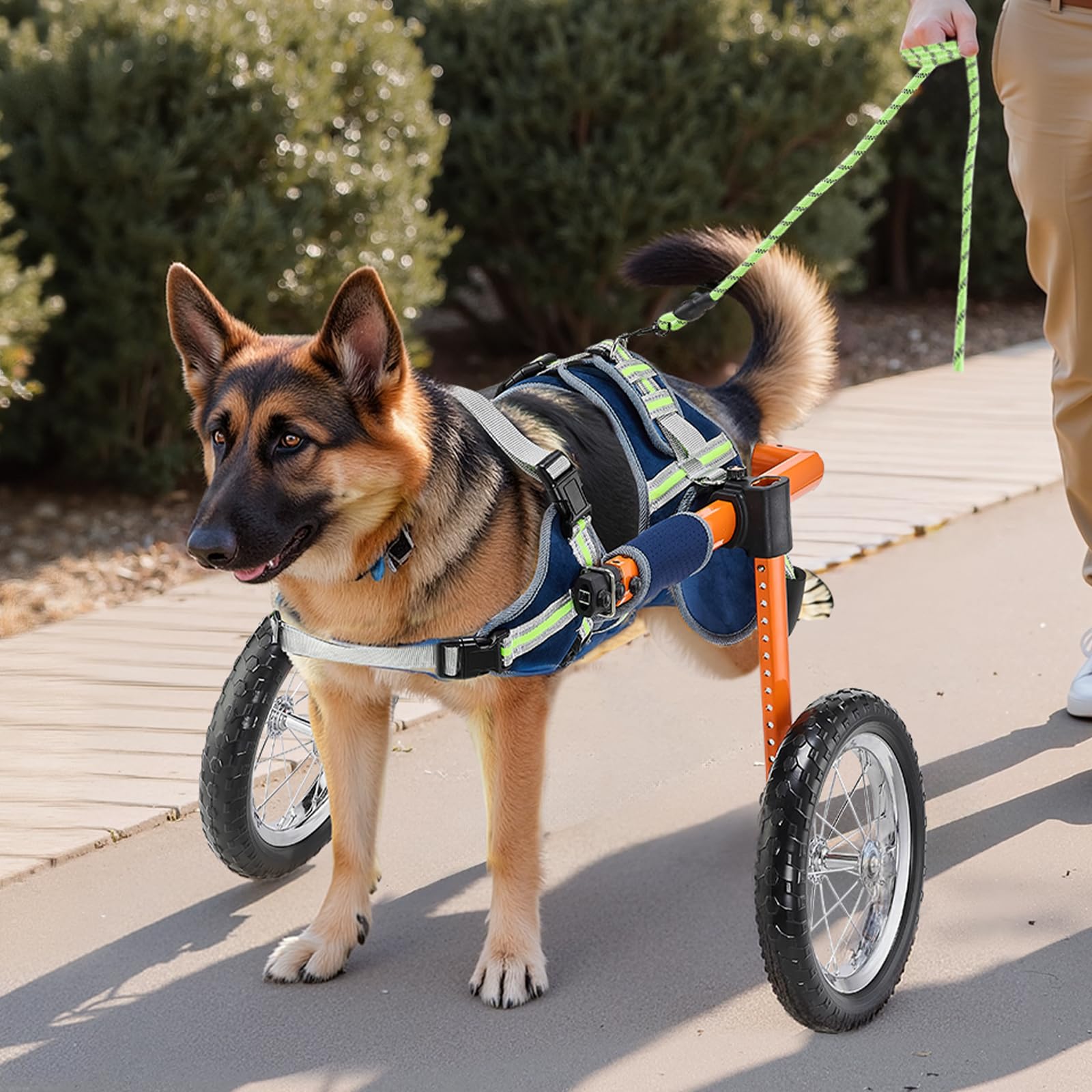 VEVOR Sedia a rotelle per cani per gambe posteriori, sedia a rotelle leggera a 2 ruote, regolabile in altezza, larghezza e lunghezza, carrello per cani con ruote ammortizzanti, per cani feriti e