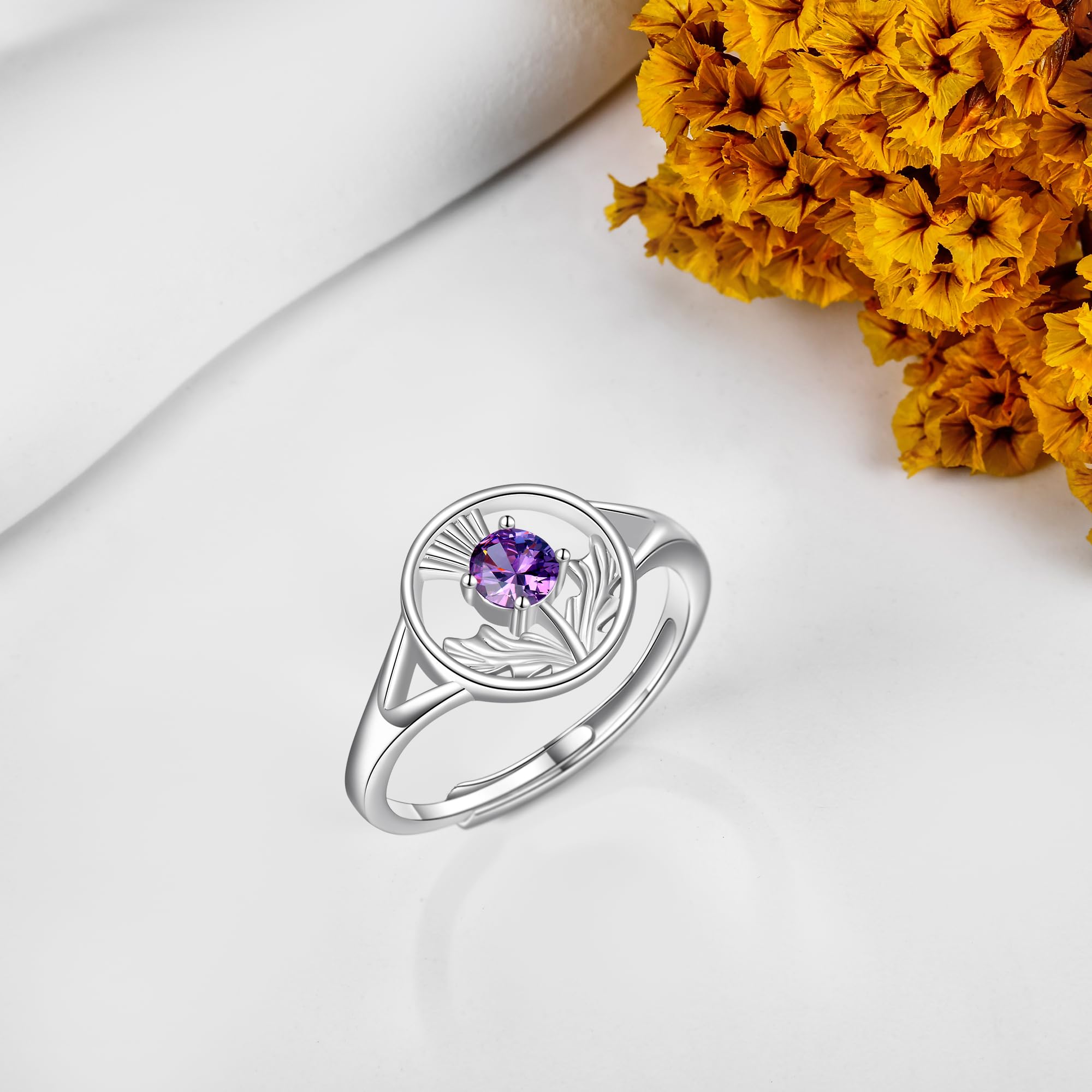 DAYLINLOVE Schottische Distel Ringe 925 Sterling Silber Verstellbarer Amethyst Schottischer Ring Schottischer Schmuck Schottland Geschenke für Damen Frauen Mädchen