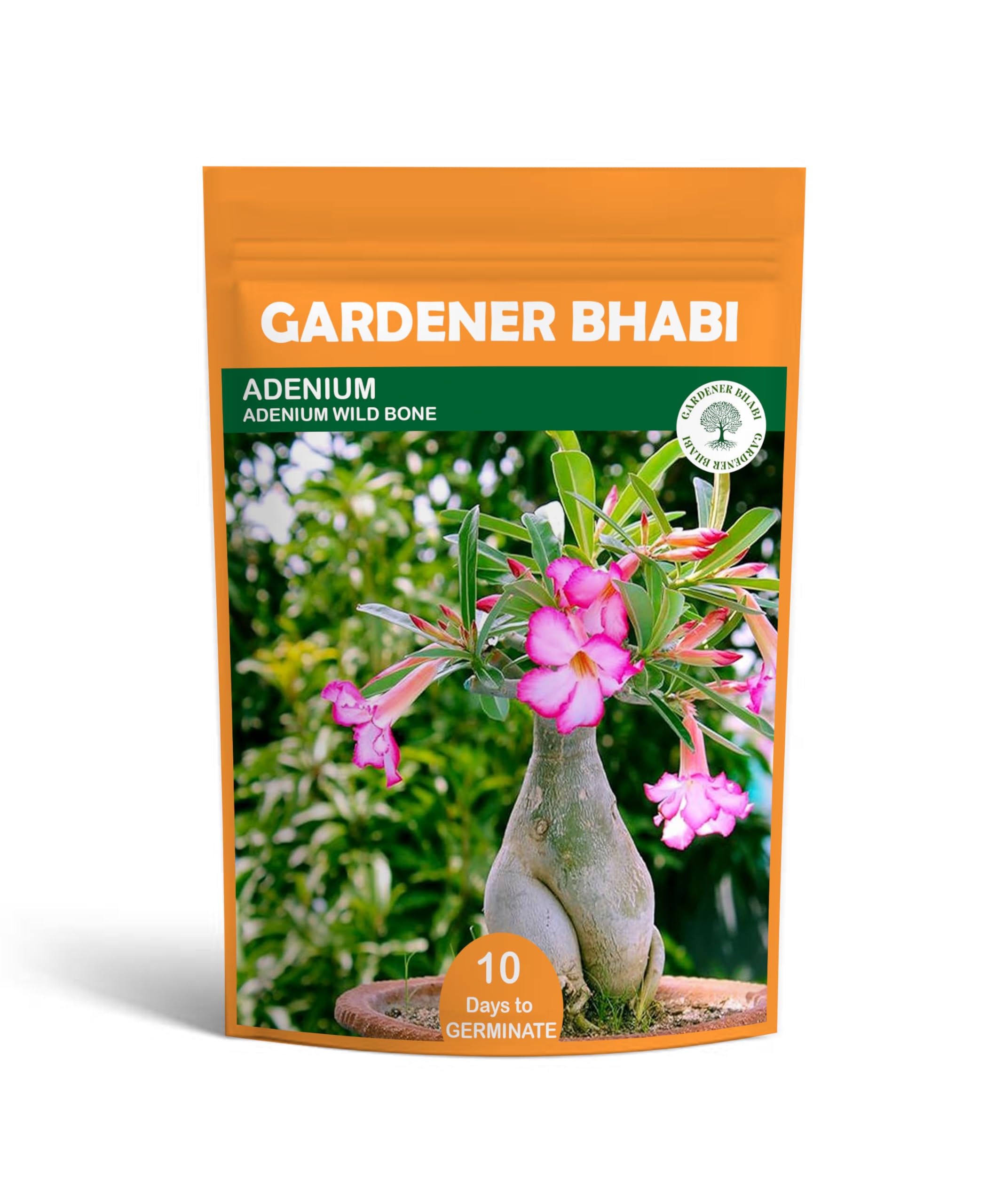 See full amazon price history chart for GARDENER BHABI Plant Seeds For Lawn/Balcony Gardening (Adenium Wild Bone) GARDENER BHABI Plant Seeds For Lawn/Balcony Gardening (Adenium Wild Bone) (B0CJ5C4211) Amazon Price History, Amazon Price Tracker