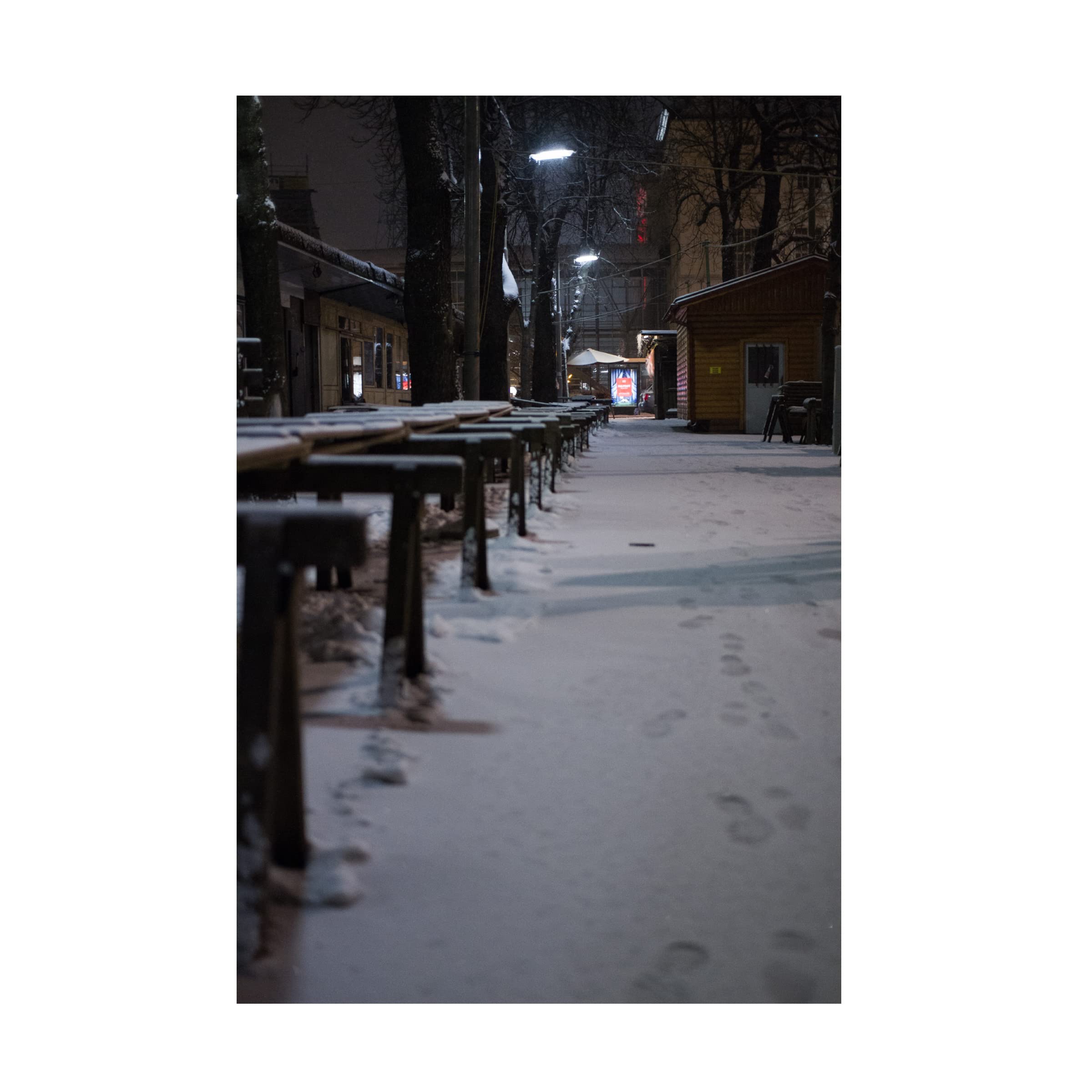 Trademark Fine Art 'Gone Astray' Canvas Art by Stefan Lind