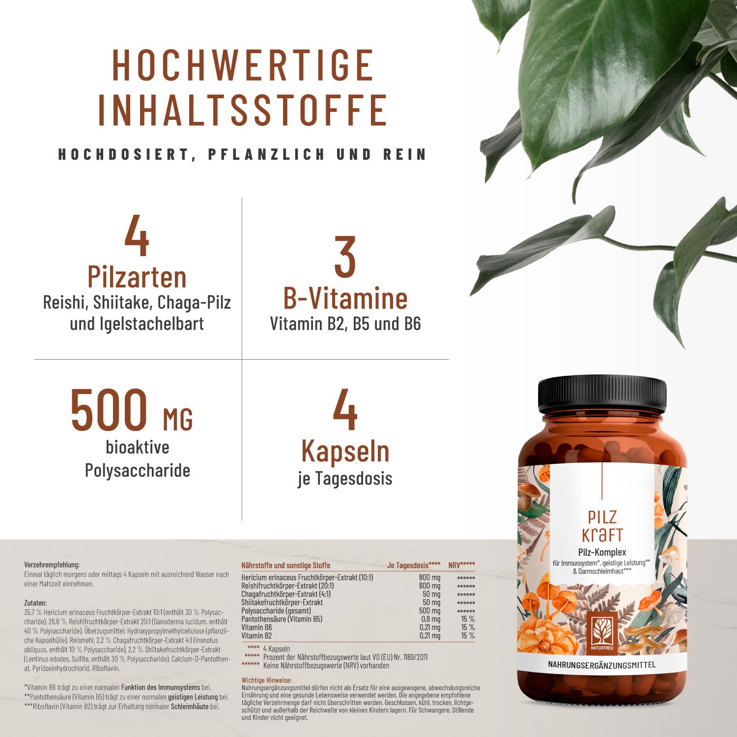 NATURTREU® Pilz Komplex hochdosiert 120 Kapseln mit Hericium Erinaceus (Lions Mane) Extrakt, Chaga, Reishi Extrakt, Shiitake Extrakt, Beta Glucan, Vitamin B2, B5 & B6