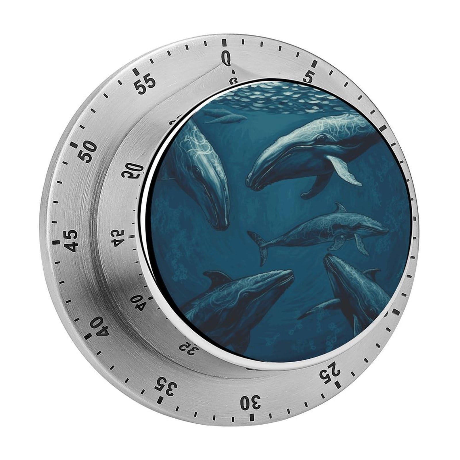 Ocean Whale Timer Loud Mechanical Timer Stainless Steel 60-Minute Kitchen Timers Waterproof Chef Cooking Timers Sport Countdown Clock Portable Countdown Alarm Adult