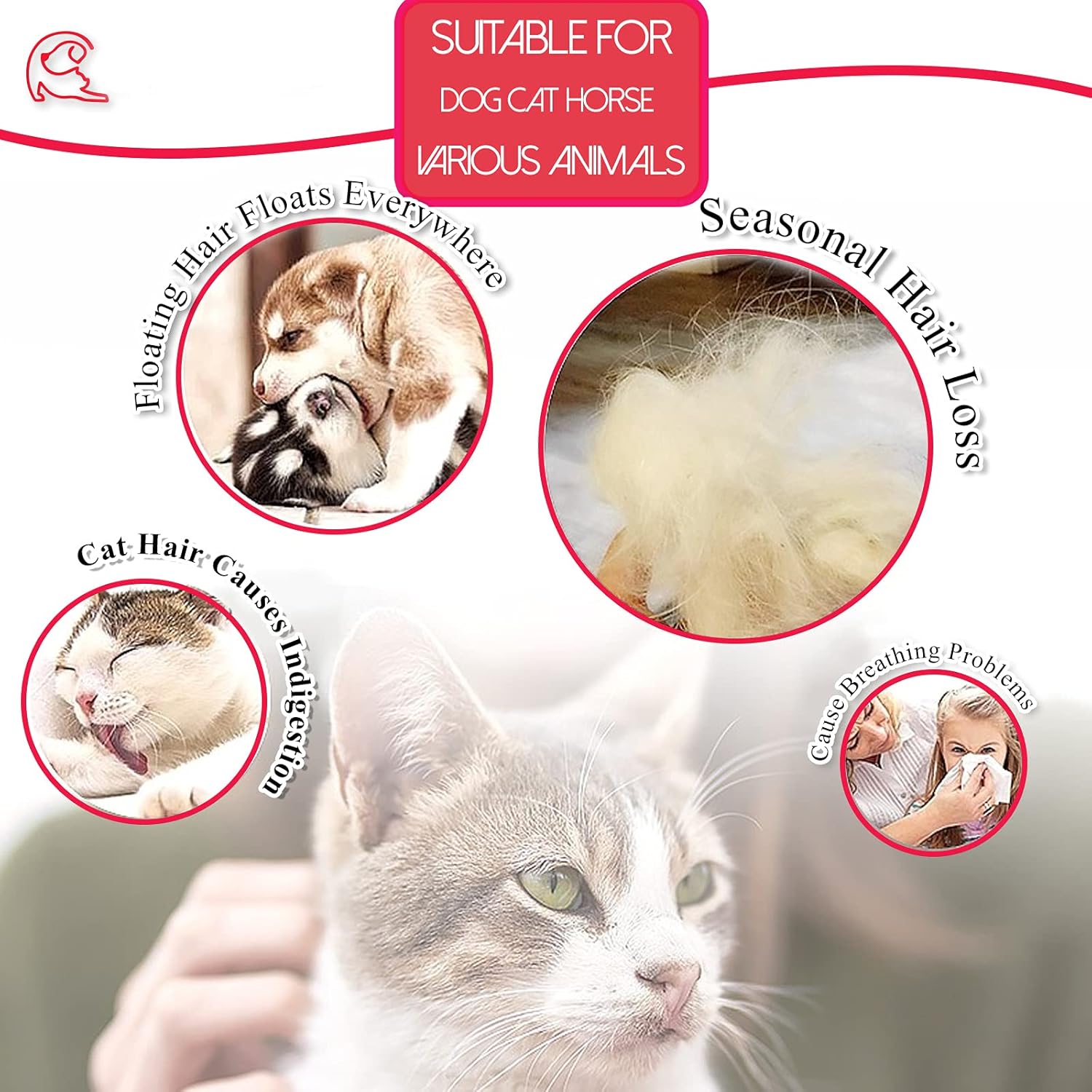 SSRIVER Pet Grooming Glove Hair Remover Brush Gentle Deshedding Efficient Pet Mitt Pet Massage Gloves Left & Right Hand Draw Dog Cat Horse Long Short Fur (1 Right Hand (Blue)) : Pet Supplies