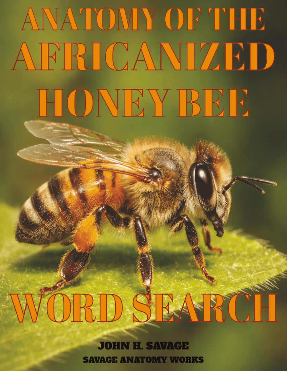 ANATOMY OF THE AFRICANIZED HONEY BEE WORD SEARCH: DEFENSIVE MORPHOLOGY, PHYSIOLOGY, AND COLONY FUNCTION (Savage Anatomy)
