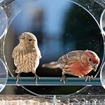 Clear Window Bird Feeder with Extra Strong Suction Cups, Sturdy Durable Acrylic Bird House for Outdoor Wild Birds, Large Birdfeeders for Outside Viewing Garden Decor Gift for Bird Lovers