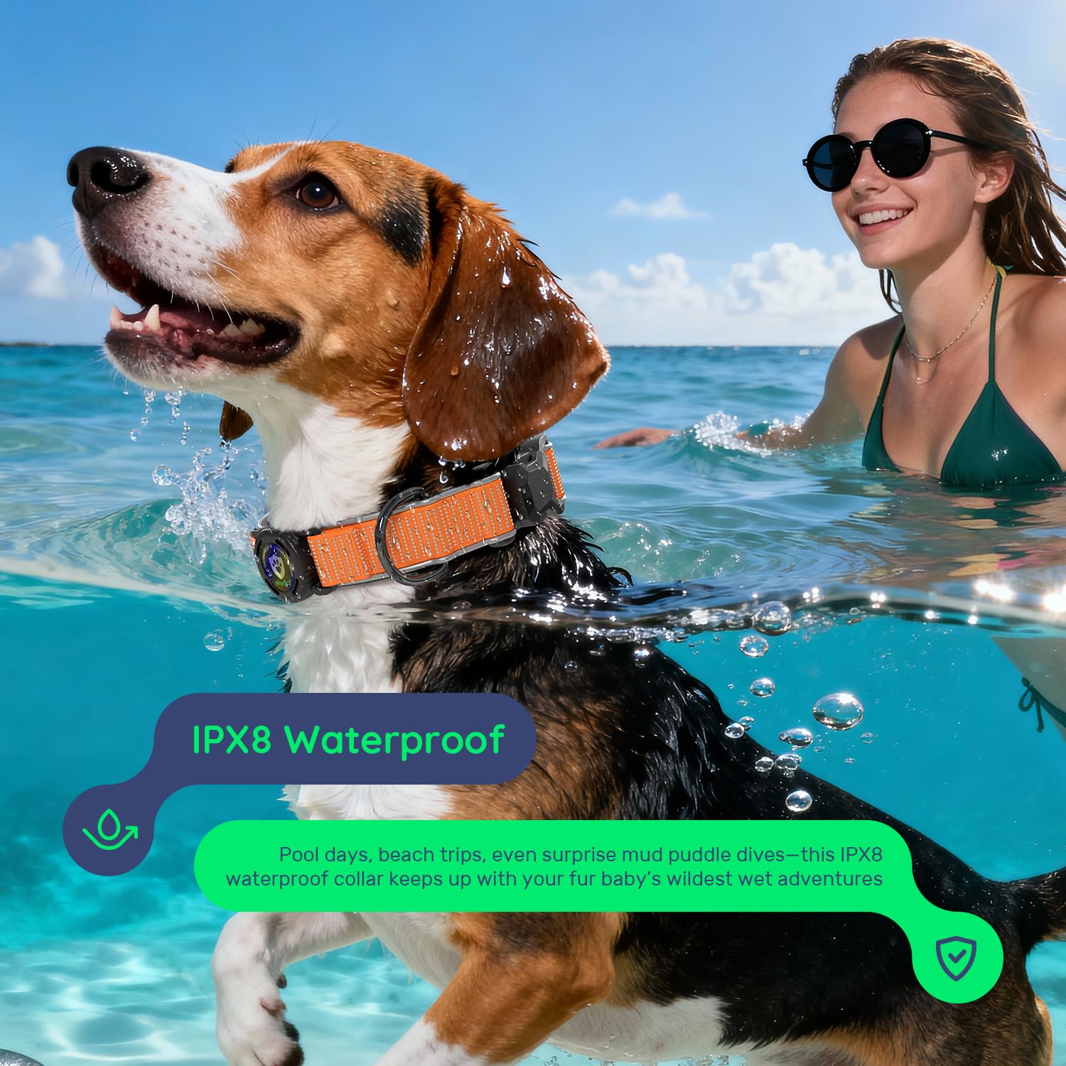 Premium AirTag Hundehalsband, wasserdicht, mittelgroß, magnetische Schnalle, strapazierfähiges Halsband, reflektierendes Hundehalsband mit AirTag-Halter