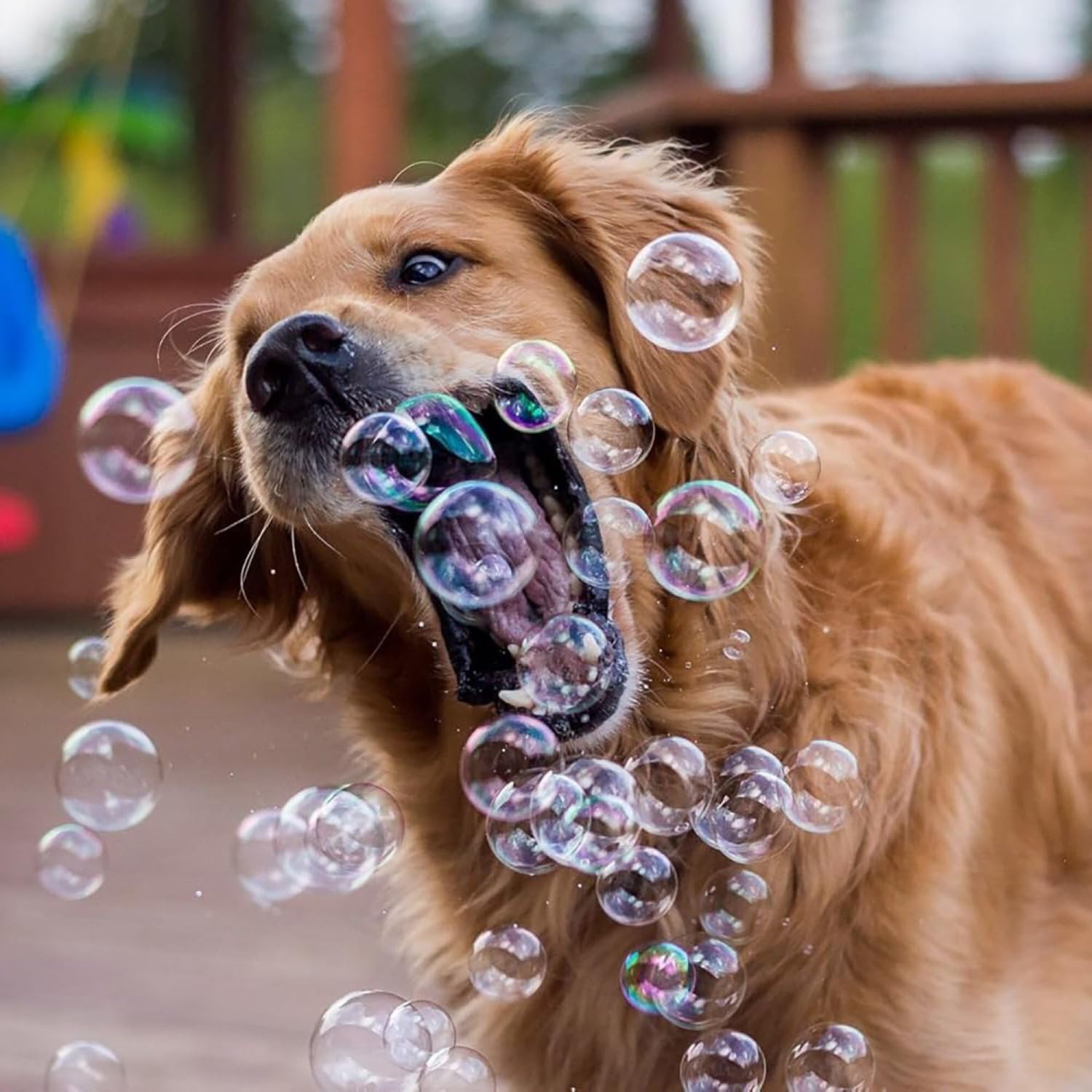 View 8