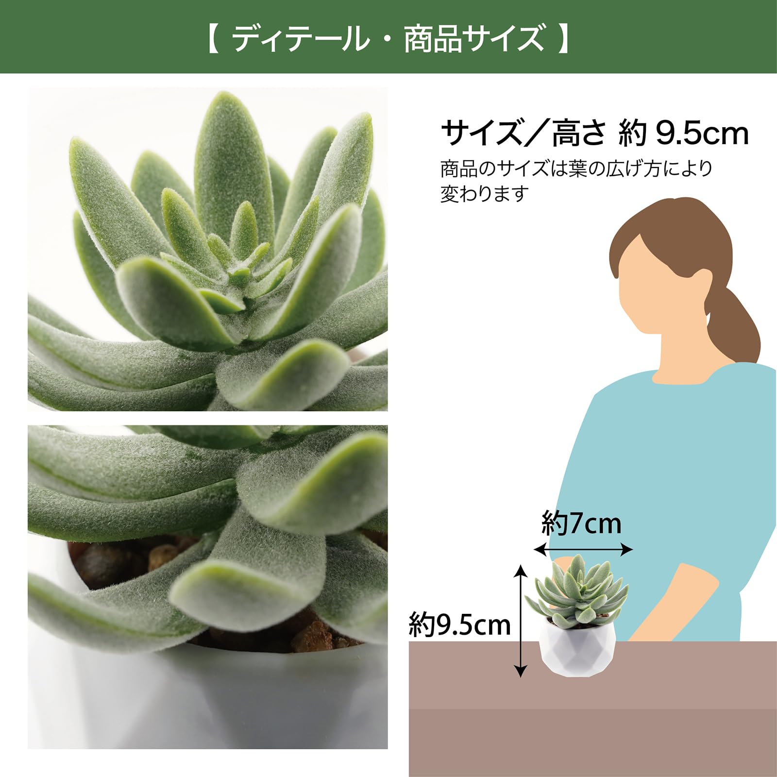Amazon｜Botanical life+ フェイクグリーン ミニ 卓上 光触媒 多肉植物