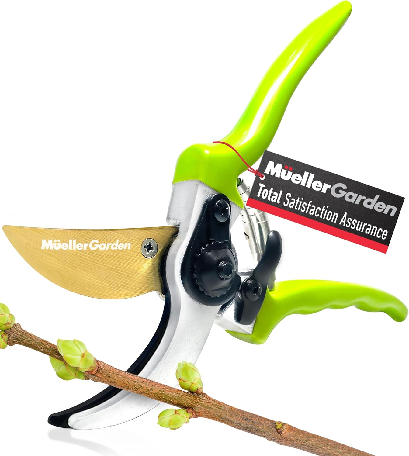 Mueller Heavy Duty Garden Shears, Hand Pruner, Bypass Shears, Durable Hardened Titanium Blades, 3/4" Cutting Diameter, Blade Lock, Ergonomic Grip Thumbnail