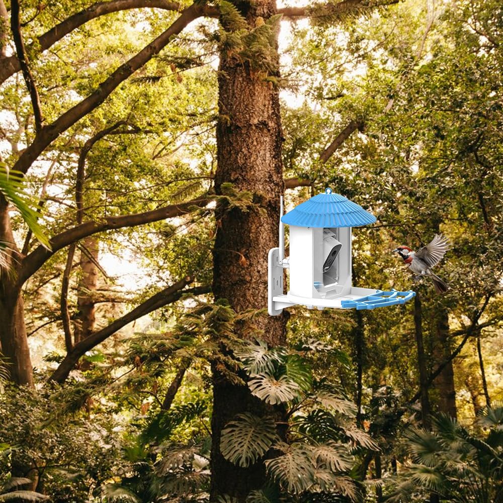 POFET Comedero para pájaros con energía Solar, graba Videos automáticamente Notifica Cuando los pájaros visitan, Cámara para pájaros con alimentador Inteligente, Regalos para Amantes de Las Aves