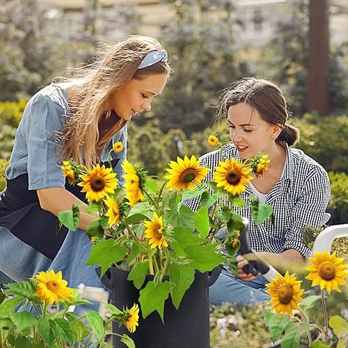 Miniatura 5 de Covers infinite Bolsas de cultivo de 3 galones, paquete de 12, macetas de tela de 3 galones, bolsas de cultivo de aireación, bolsas de jardín