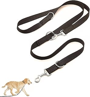 Hundeleine in Schwarz, Stabil Und Verstellbar, Hundeleine, Dog Hundeleine, Hundeleine Für Große Hunde, Dog Leash, Für Große Und Kräftige Hunde, Mit Zwei Karabiner (2,5 X 260 cm) product image