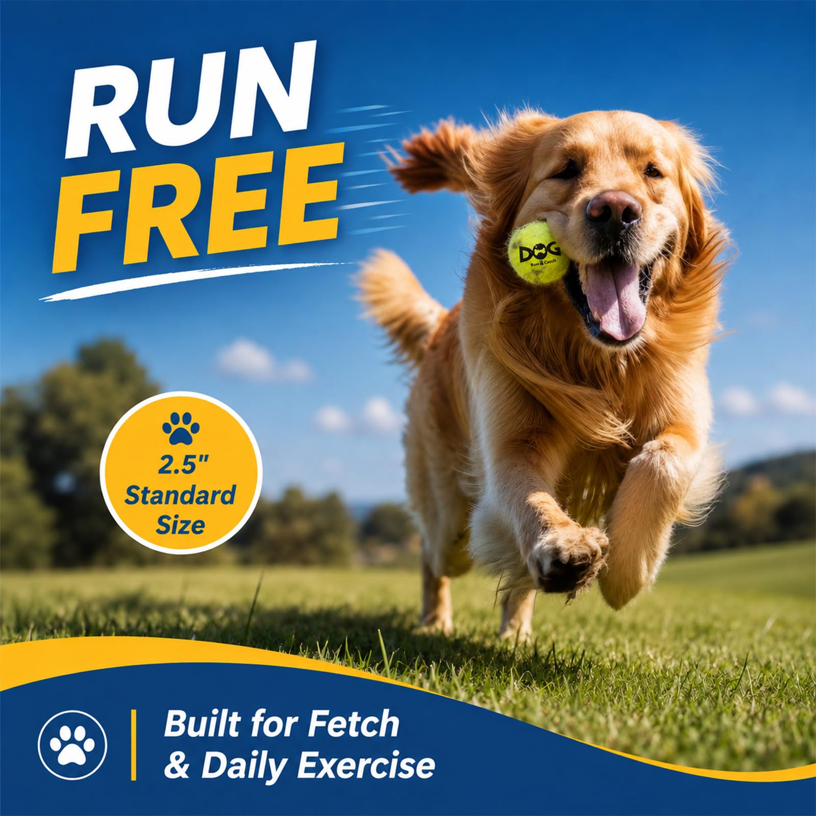 INSUM Quietschende Tennisbälle für Hunde, 6,3 cm, langlebig, ungiftig, Outdoor-Hundespielzeug, Bälle mit Netztasche, SGS-zertifiziert, buntes Apportierspielzeug, mittelgroße und große Rassen, 50 Stück