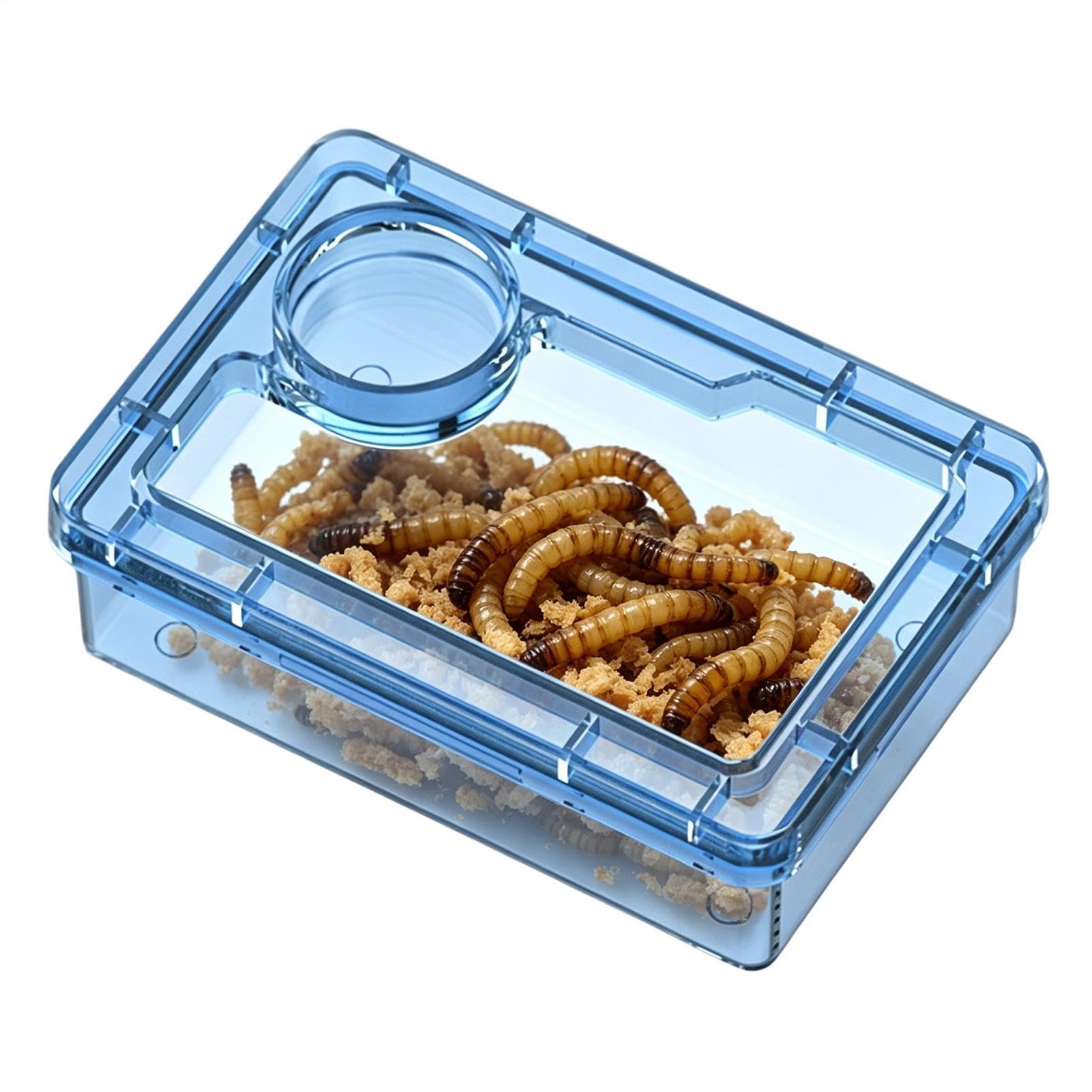 Generisch Reptile Feeder Bowl - Escape Proof with Food Divider | Leopard Gecko Feeder for Terrarium - for Chameleon, Iguana, Tarantula, Habitat, Terrarium, and Office Area