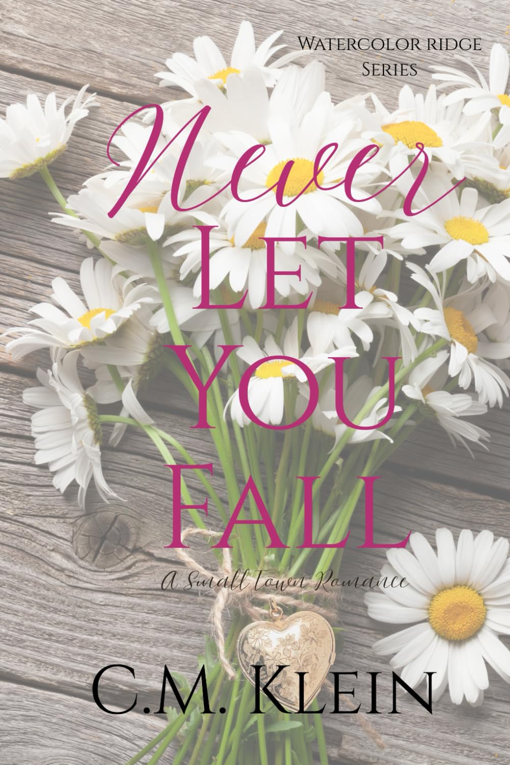 Never Let You Fall: A Small Town Romance (Watercolor Ridge)