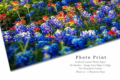 Miniatura 2 de Wildflower Photography Print (Not Framed) Picture of Bluebonnets and Indian Paintbrush on Spring Day in Texas Flower Wall Art Nature Decor (8" x 12")