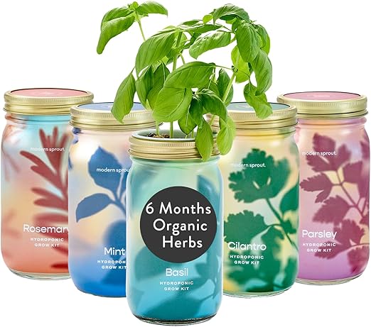Modern Sprout Mason Garden Jar Grow Set