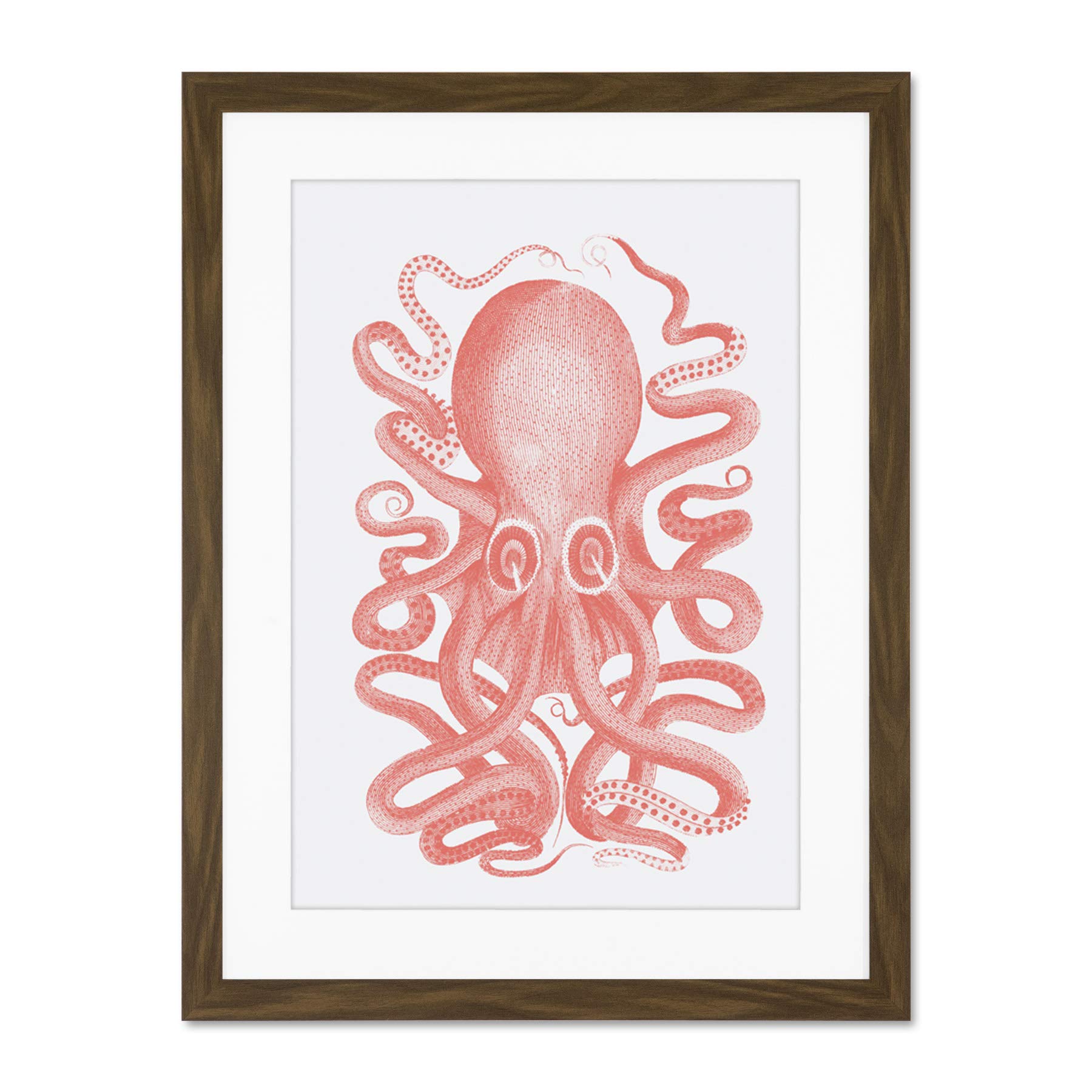 Wee Blue Coo Living Coral Octopus Large Brown Framed Art Print Wall Poster 18x24 inch