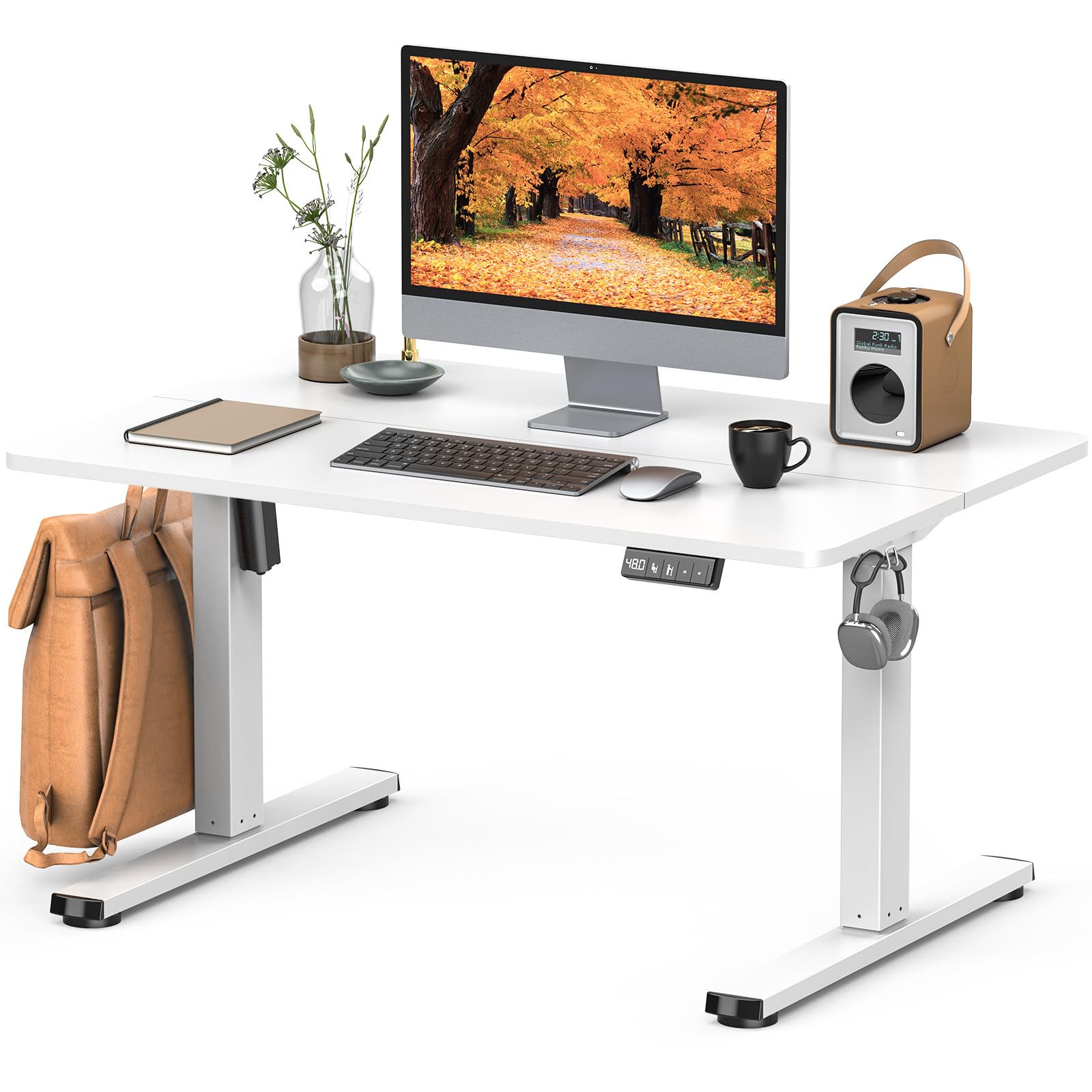 電動昇降デスク 幅80cm ロータイプ 高さ48〜75cm 自動 Amazon | Zontera 電動 昇降式ローデスク 高さ調整48-75cm ロータイプ