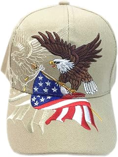 Amazon.com: american legion hat
