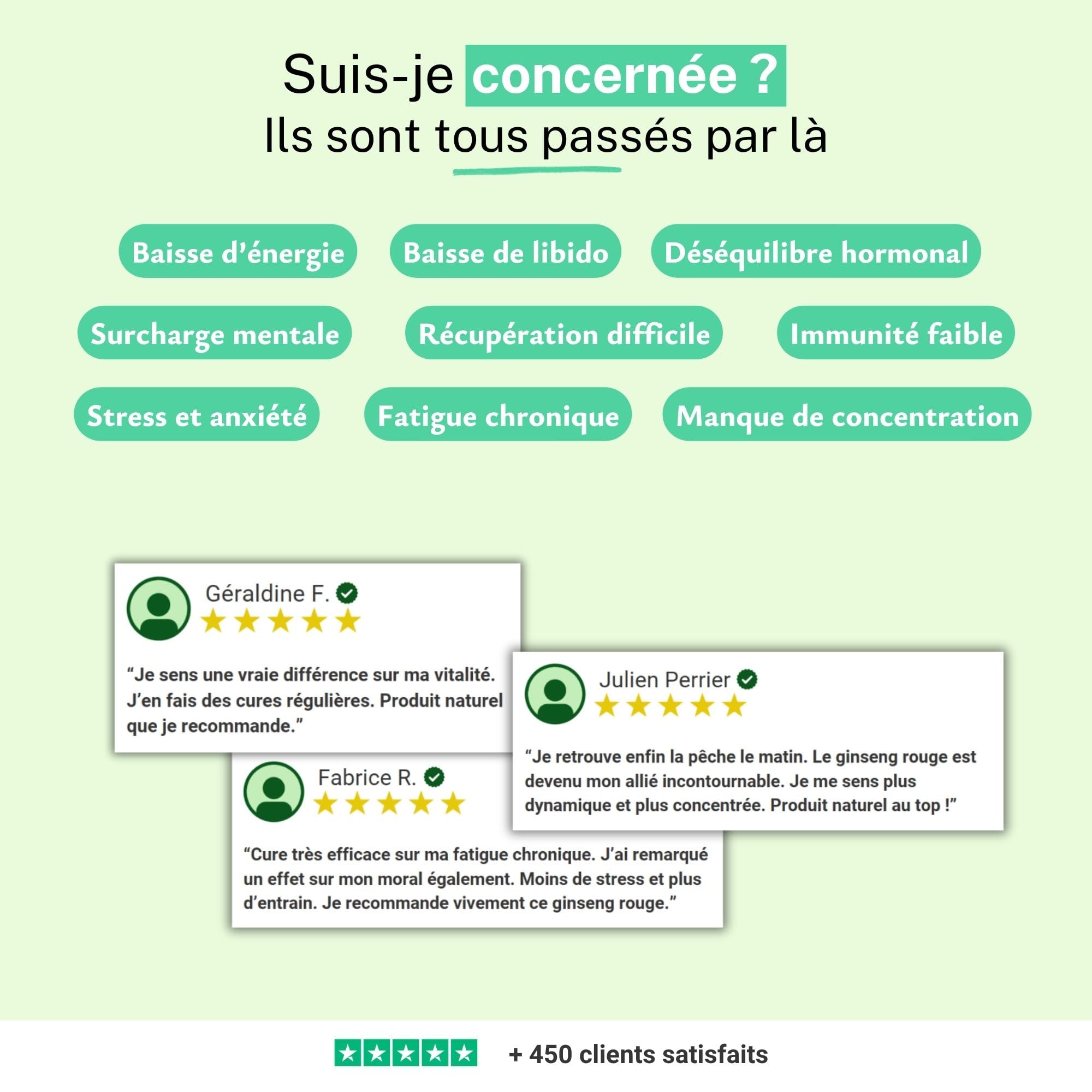 Ginseng Rouge Poudre Pure | Boostez l'Énergie, la Vitalité et la Concentration | 100% Naturel | Idéal pour l'Endurance et le Bien-être | Sans Additifs | Made in France, Rue des Plantes (100g)