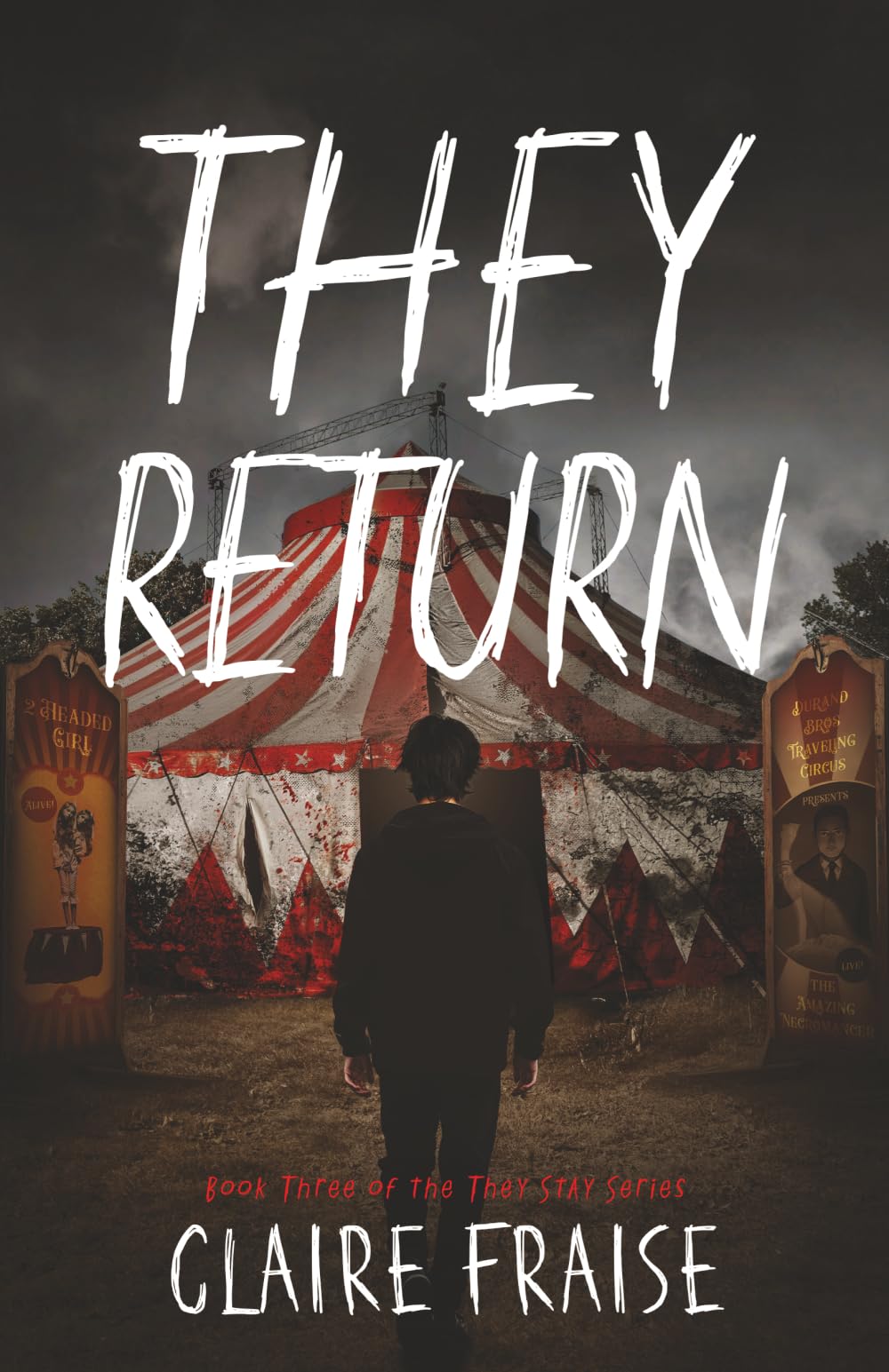 They Return: Book 3 of the They Stay Series