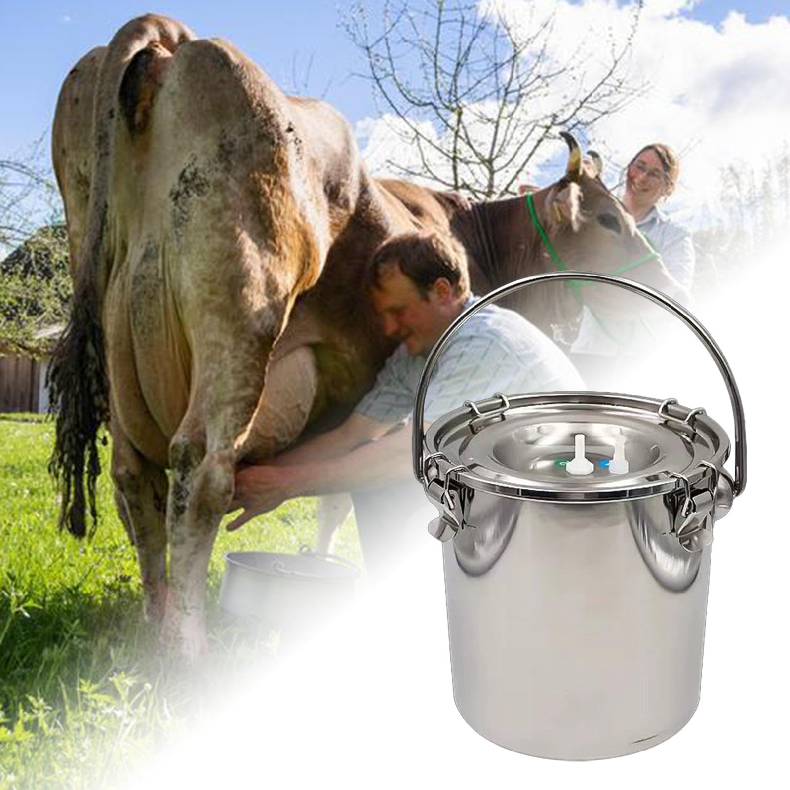 Secchio per Mungitura in Acciaio Inox di Grande capacità per E Ovini, 5 Litri