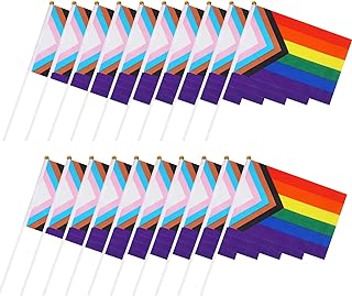 20Pcs Pride Flag, Handheld Rainbow LGBTQ Flag Mini, Progress Pride Rainbow Flag Small for Outdoor LGBT Parades, Party Decorations