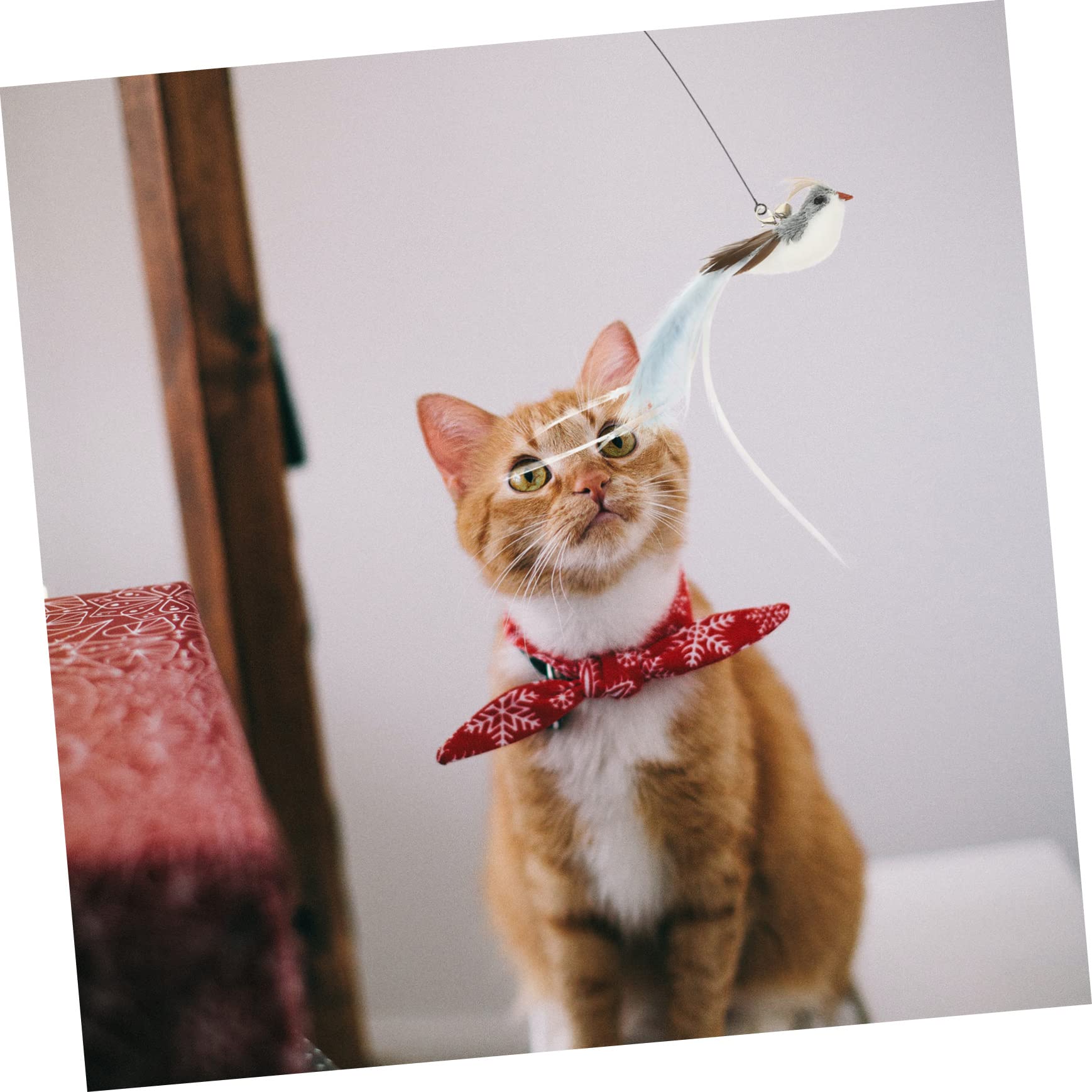 VANZACK 4ensembles à Plumes pour Chat avec Têtes De Rechange De Jouets Interactifs pour Chats Intérieur Compris Têtes Forme De Lézard De Guêpe De Cigale