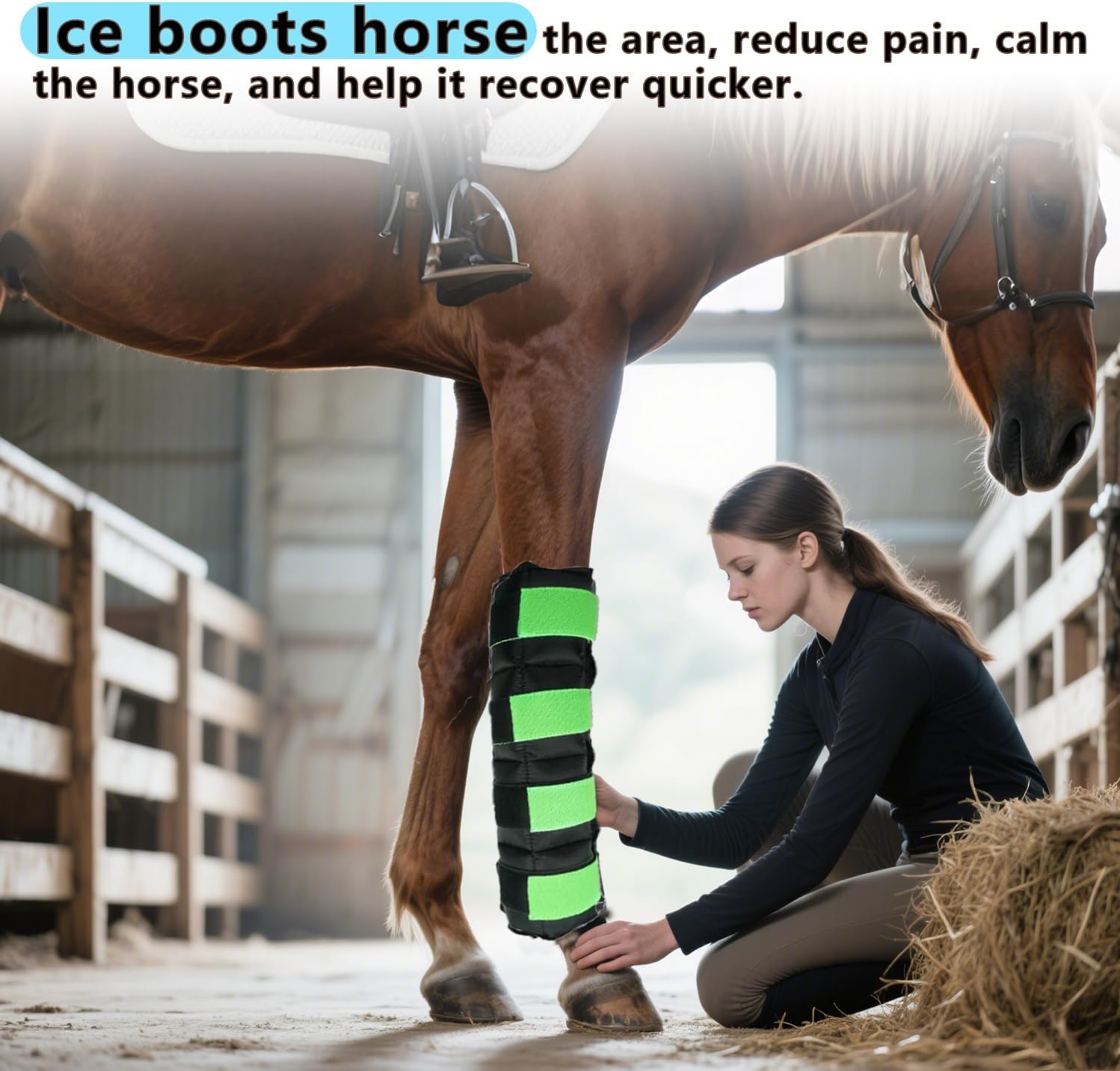 Botas de hielo de caballo para lesiones de caballo, dolor muscular, enfriar las piernas, abrigos fríos para hock, tobillo, rodilla, piernas, botas y pezos, negro verde, 1 par (2 paquetes)