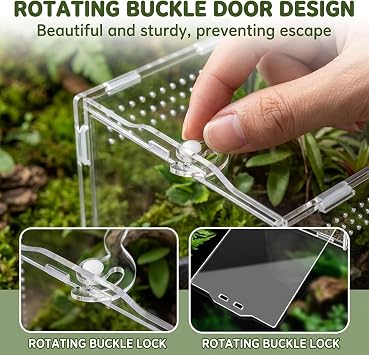 Jumping Spider Enclosure, Mantis Enclosure, 12×12×20cm