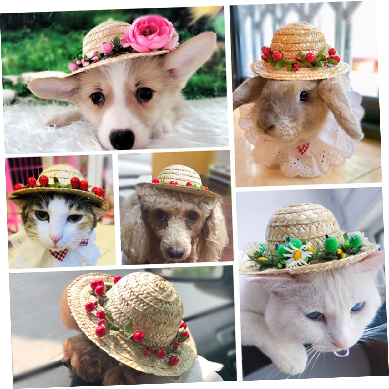 麦わら帽子Ꮇお好みカラー✗ホワイト犬・猫 プルメリア装飾❁handmade Amazon | BESTOYARD 麦わら帽子 ペット 麦わら帽子 猫 麦わら帽子 犬