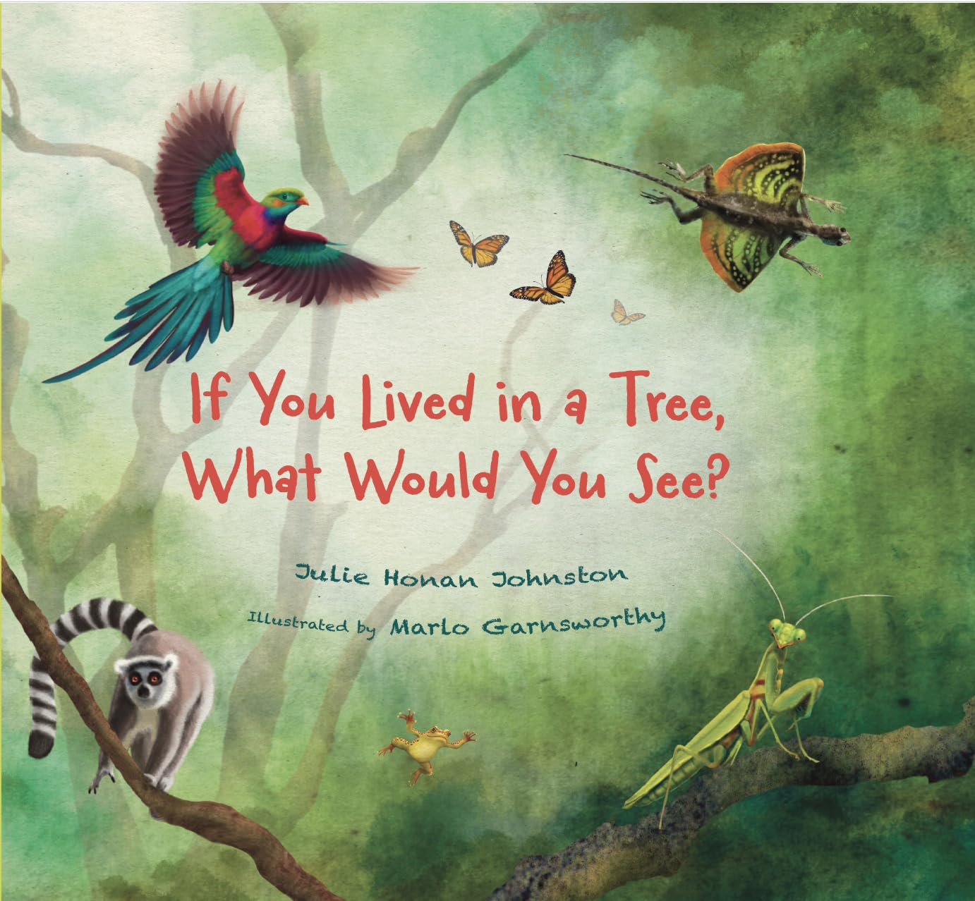 If You Lived in a Tree, What Would You See? (Who Would You Be?, 2)