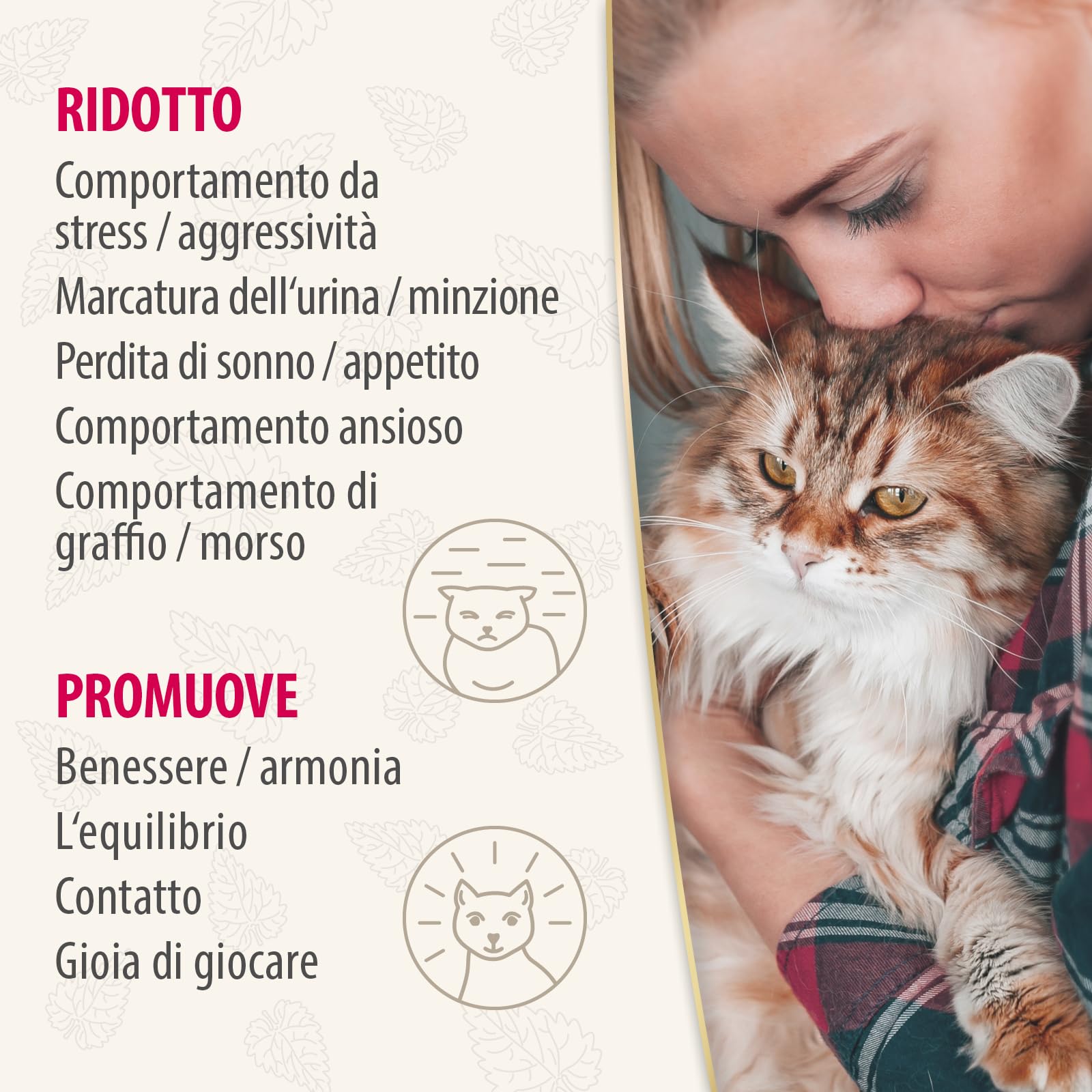 Felisept Home Comfort Spray Calmante Per L'Ambiente 100 ml - Con erba gatta naturale senza feromoni gatto - Benessere E Relax Per Il Gatto - Spray calmante gatto - Tranquillanti gatto