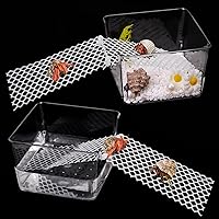 Vista 8 de Paquete de 2 tanques de agua grandes para cangrejos ermitaños, jaula de cangrejo ermitaño con rampas de escalada, cangrejos ermitaños ermitaños