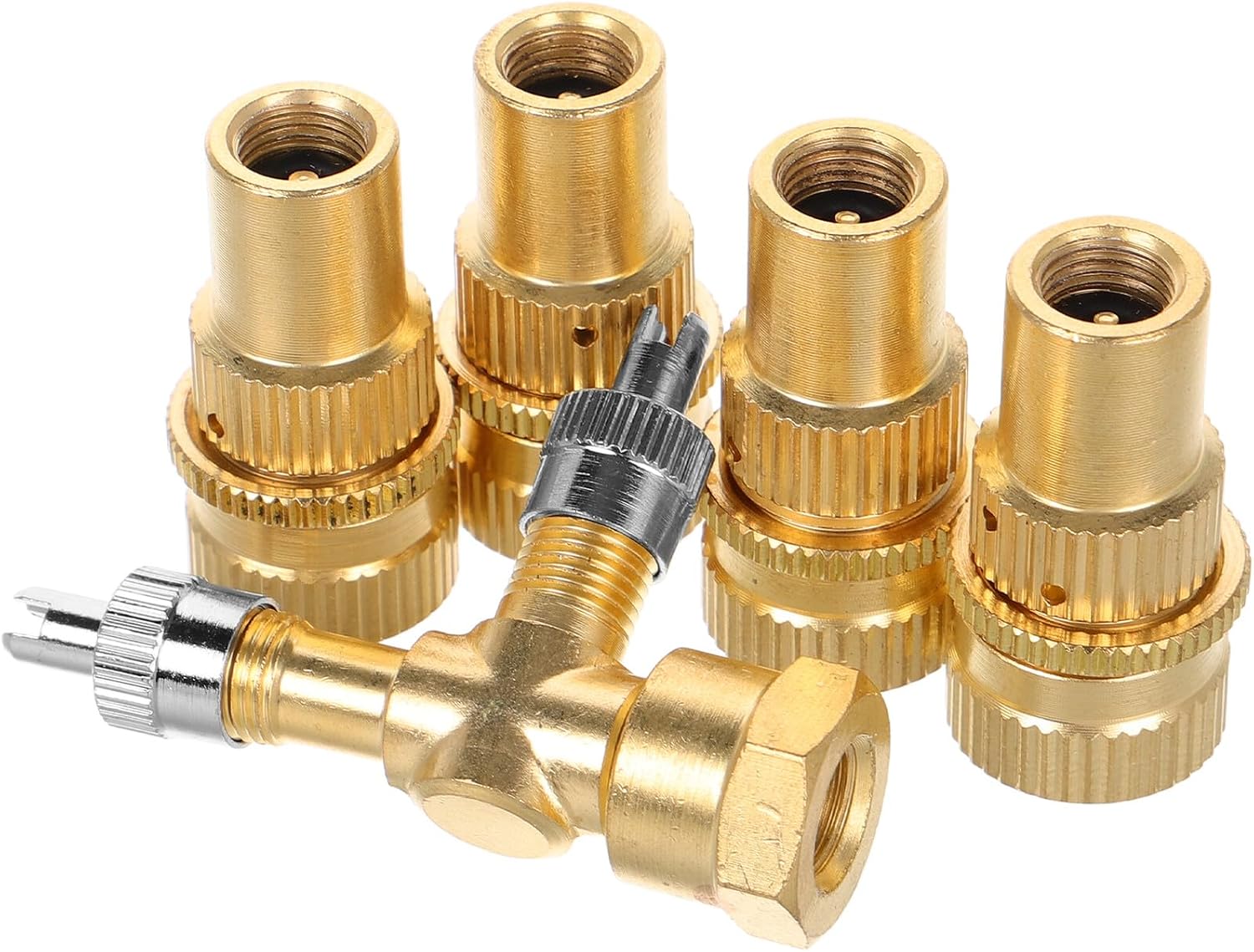 Healifty Tire Pressure Deflator Valve Tool Set with Brass Adjustable Bleeder and Three-Way Valve Stem for Cars Suvs Motorcycles and Bicycles