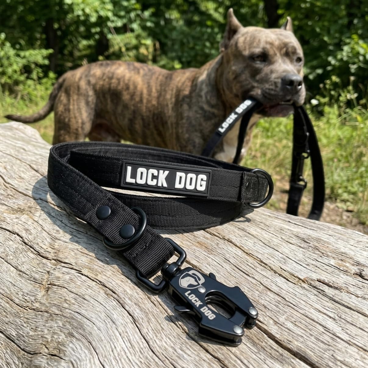 Schnitt- & bissfeste - Hundeleine – Hochleistungsfasern statt Drahtseil – Frosch Clip - Frog Clip - 360° drehbar - LOCK DOG
