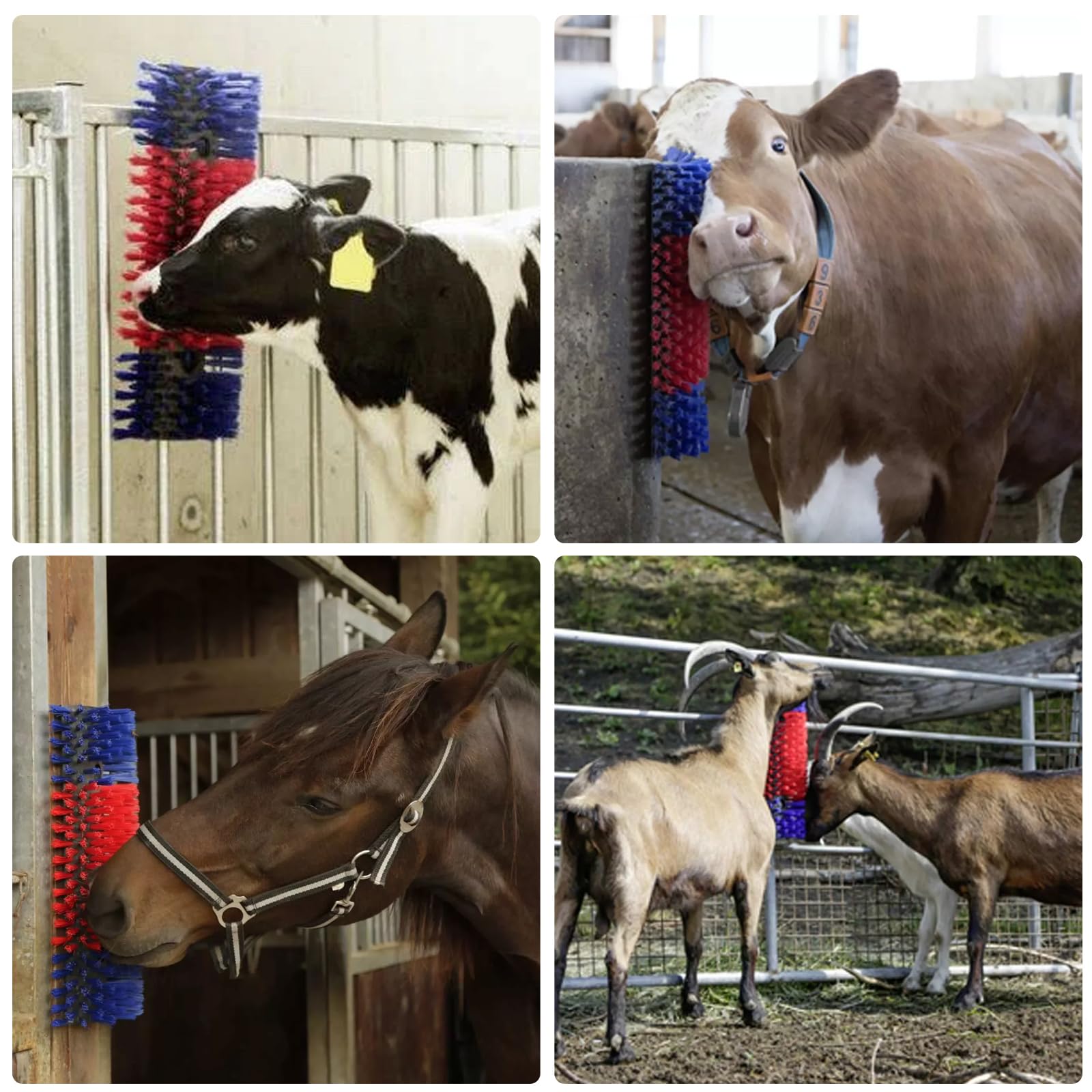 Cepillos de masaje para caballos, cepillos rascadores para caballos, vacas y cabras, cepillo para tabla de rascar, tabla antipicazón, rascador de espalda, juego de cepillos de masaje, cepillos de