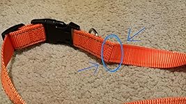 Review Image by Ben T.