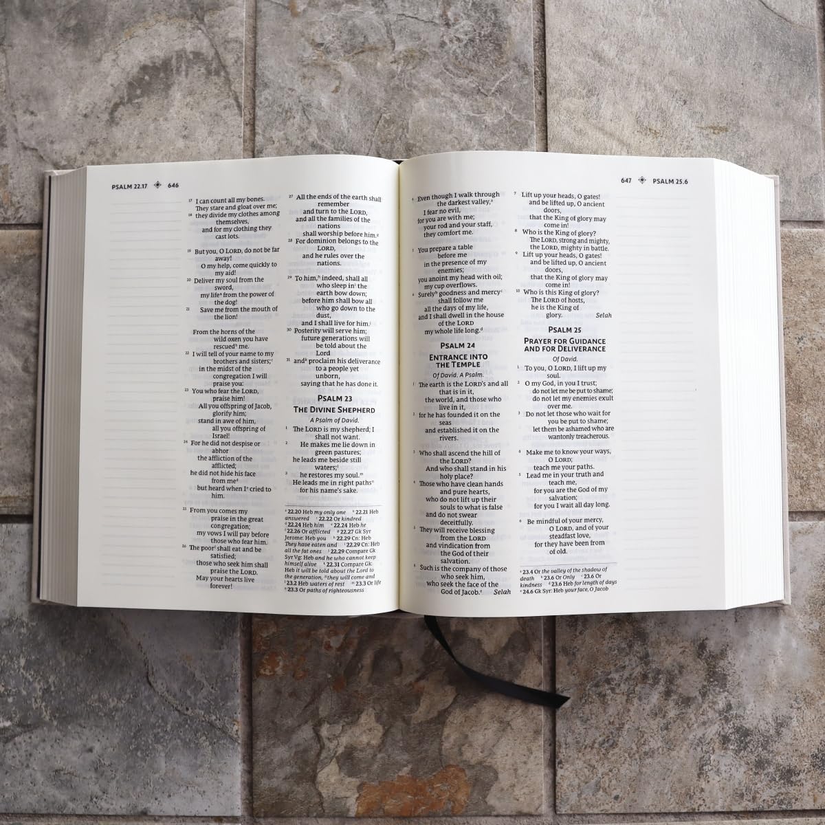 NRSVue, Holy Bible with Apocrypha, Journal Edition, Cloth over Board, Cream, Comfort Print