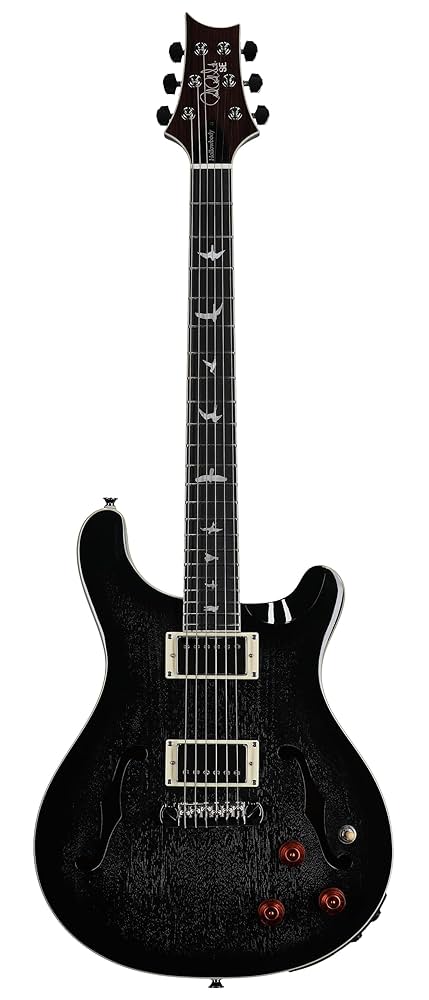 Amazon.com: PRS Paul Reed Smith 6 String SE Hollowbody