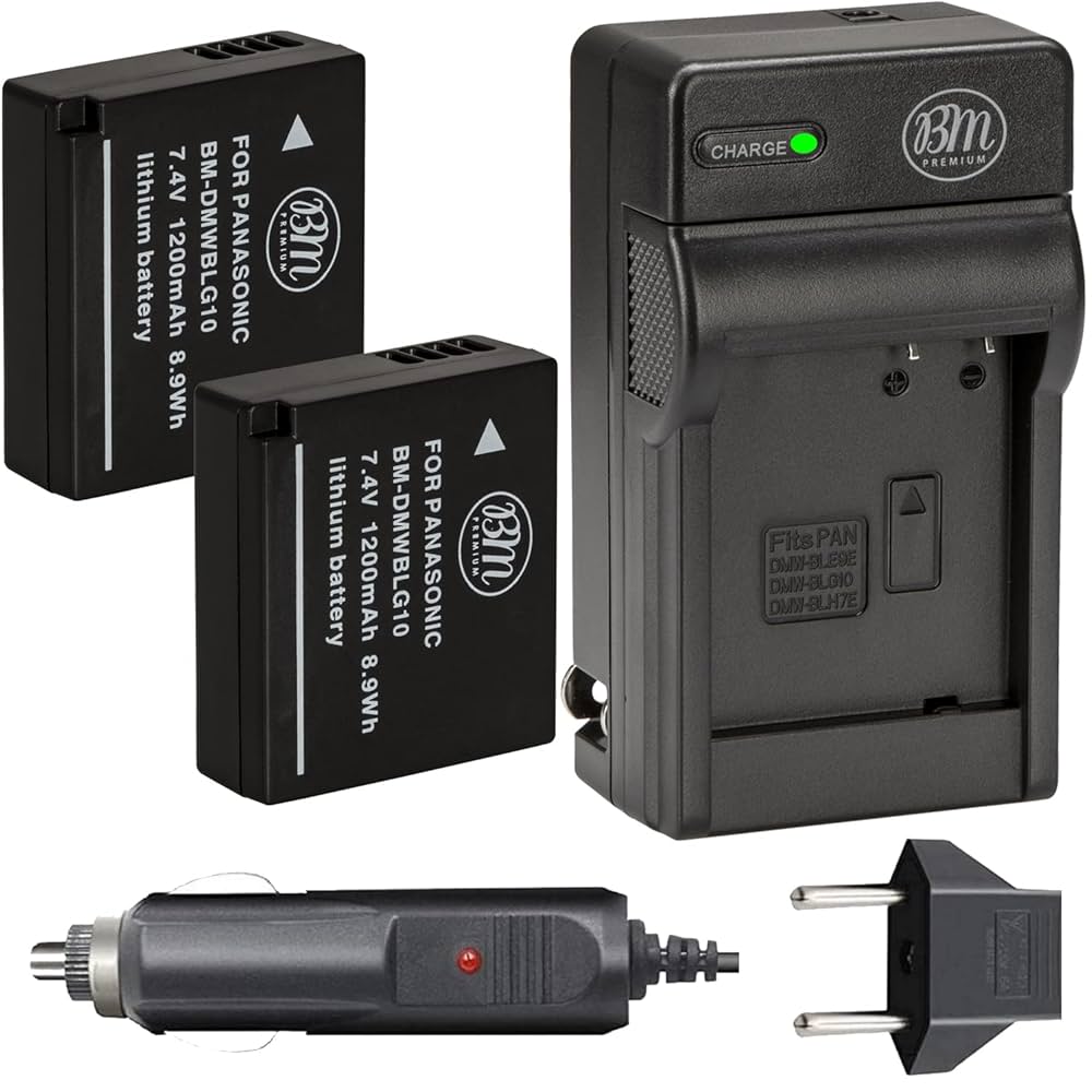 Amazon.com : BM 2 DMW-BLG10 Batteries and Charger for