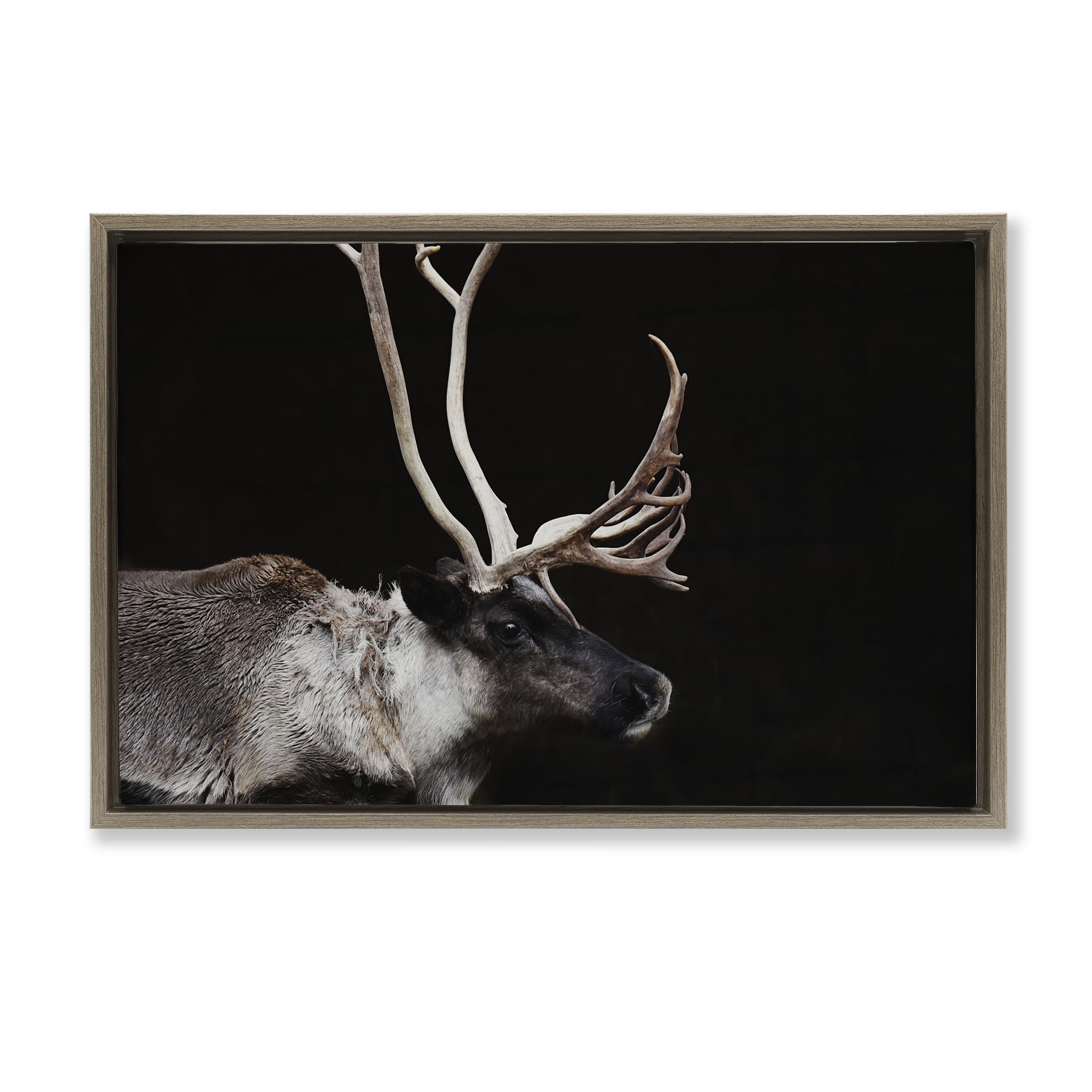 Stupell Industries 'Dark Reindeer at Night', Floating Frame Canvas Art, Brown, 31 x 21 Inches, Easy to Hang and Sturdy, Made in USA, by Amy Carroll