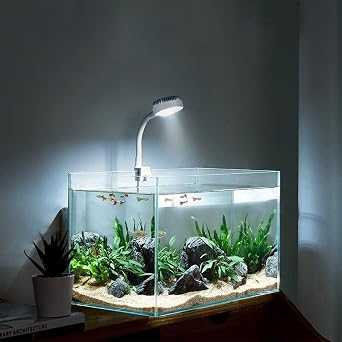 BigTron Full Spectrum Aquarium Light, Small Clip Light for Fish Tank with 2 Blue 10 White LED, 5W Brightness, for 3-5mm Thick White [Energy Class G]