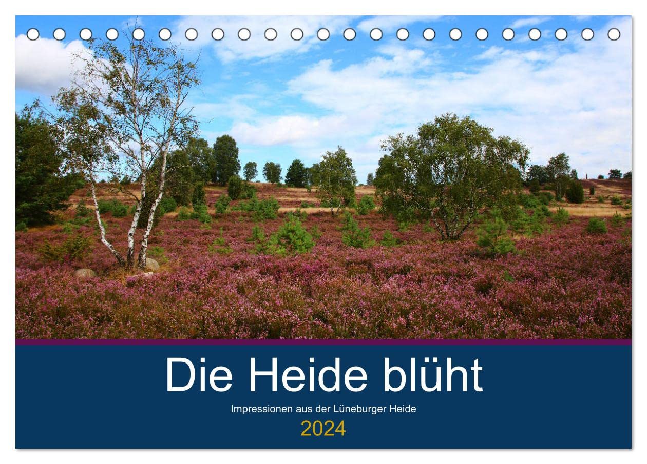 Die Heide blüht (Tischkalender 2024 DIN A5 quer), CALVENDO Monatskalender: Blühende Heidelandschaften, Schäfer mit Heidschnuckenherde und romantische Häuser (CALVENDO Orte)