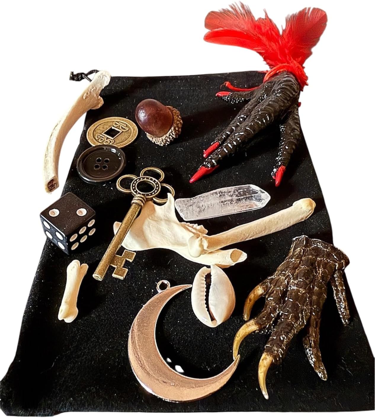 Bone Throwing Divination kit – Bone kit – Osteomancy- Divination – Voodoo – Hoodoo – Witchcraft – Oddities – Folk Magic