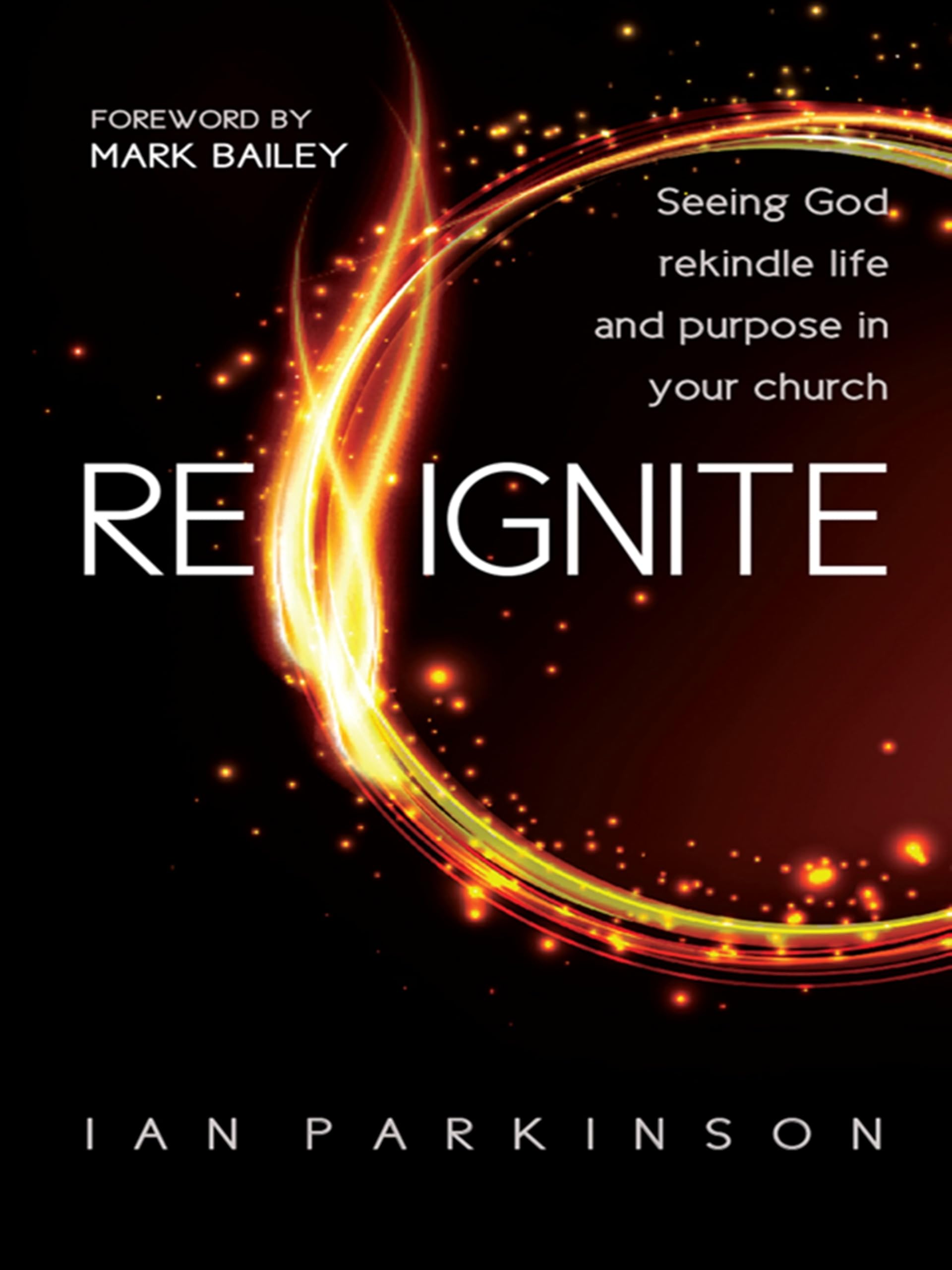 Reignite: Seeing God Rekindle Life and Purpose in Your Church. Parkinson**