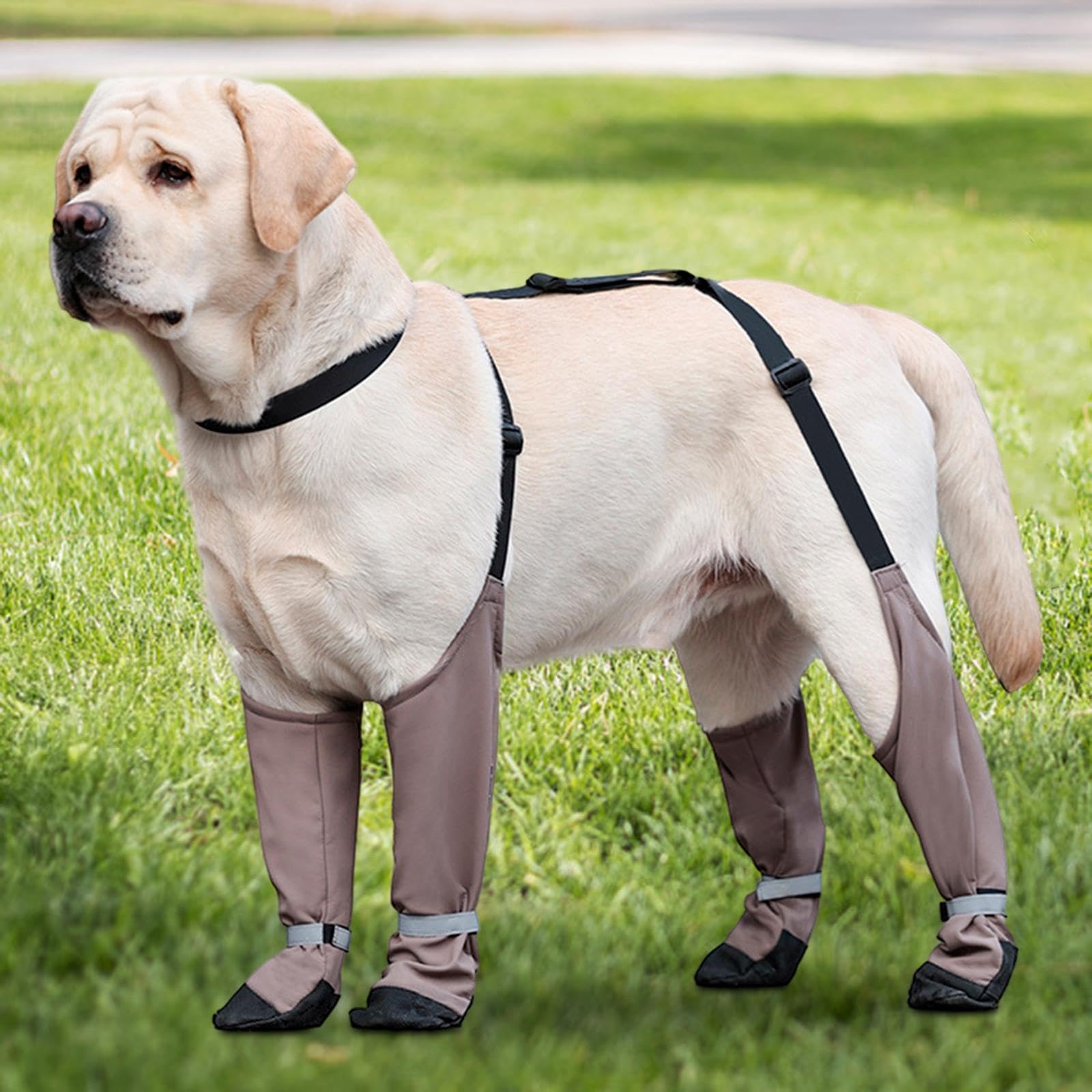 Bottes pour Chien Protège-Pattes Dechien Chaussures Antidérapantes Imperméables Réglables en Polyester Légères Confortables Fonction Anti-salissure AP, L