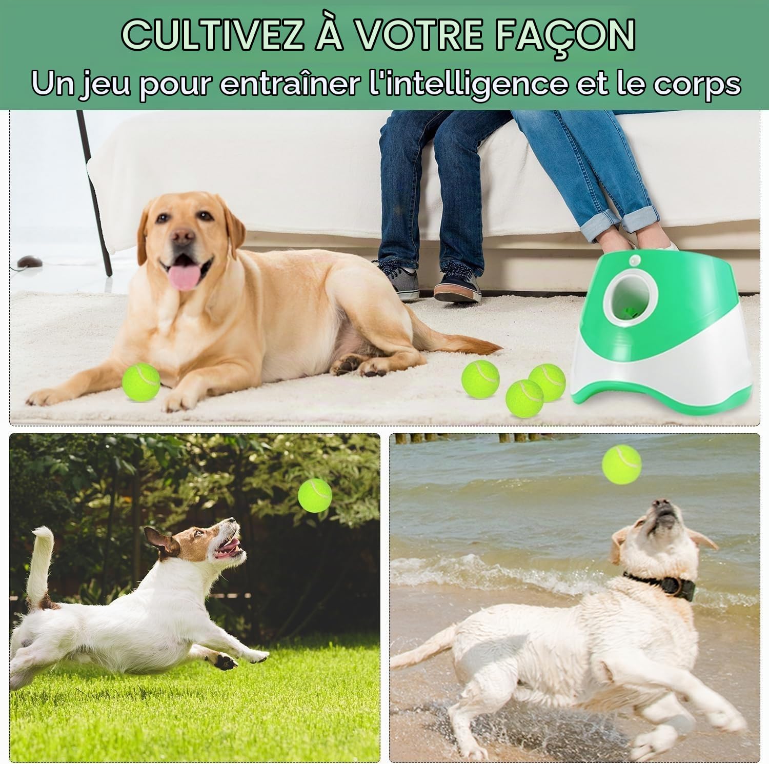 Lanceur Automatique De Balle Pour Chien, Lanceur De Balle Interactif Rechargeable à 3 Modes Pour Intérieur Et Extérieur Avec 3 Distances De Lancement Pour Chiens De Petite Et Moyenne Taille, Intérieur